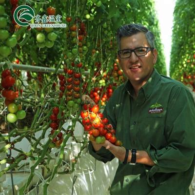 China Gran bomba hidropónica para el crecimiento máximo de verduras frutas y flores en venta