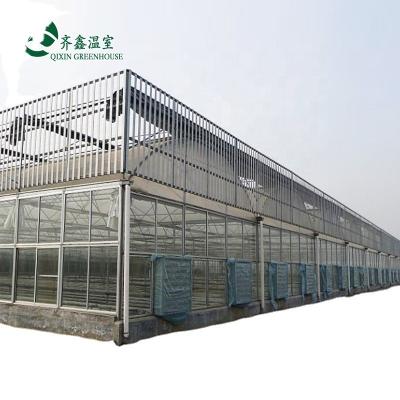 China Sistema de sombreado interior Equipo de invernaderos de hongos para frutas y flores vegetales en venta