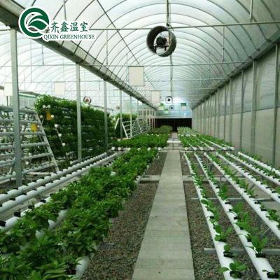 China PO Single Layer Greenhouse for Agriculture Boost Agricultural Production for sale