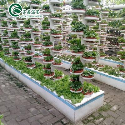 China PO Film Protected Indoor Hydroponic Growing Systems for Greenhouse for sale