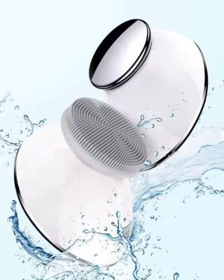 China New Product Facial Massager DEEP CLEANING Cleansing Brush and Entry Device 2 in 1 Electric Facial Cleaner for sale