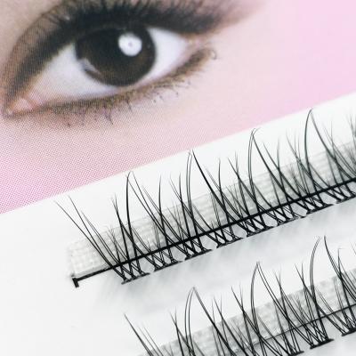 China High Quality PBT Korean Wholesaler 5D Short Rod Premade Volume Fans 0.07 0.10 Graft Packed Hand Made Eyelash Extensions Ends for sale