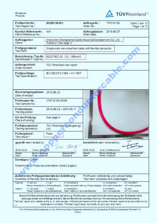 Test Report by TÜV Rheinland - Shenzhen Chengtiantai Cable Industry Development Co.,Ltd