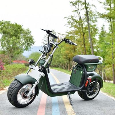 China Unisex Fastest Electric Motorcycle For Adults Speed ​​45Km/H Electric Motorcycles With Pedals Disc Brake for sale