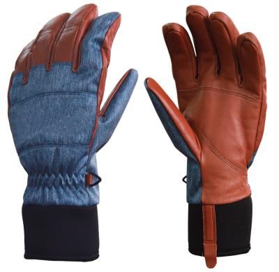 China Waterproof Leather Ski Gloves for Men for sale