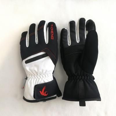 China 2021 new style waterproof ski gloves for men for sale