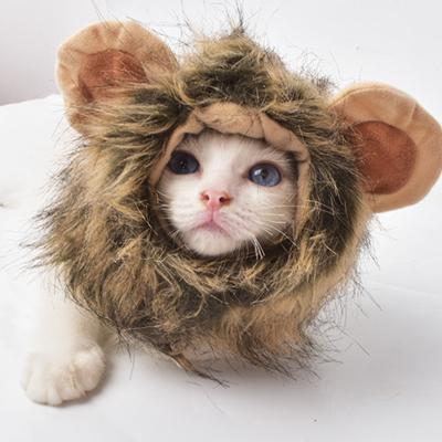 China Viable Cat Wig Lion Spins Cheap Durable Comfortable Warm Winter Hat Cute Pet Helmet for sale