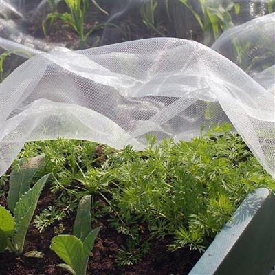 China 100% agricultural pe insect net anti-static for cultivation insect netting musquito protective net for sale