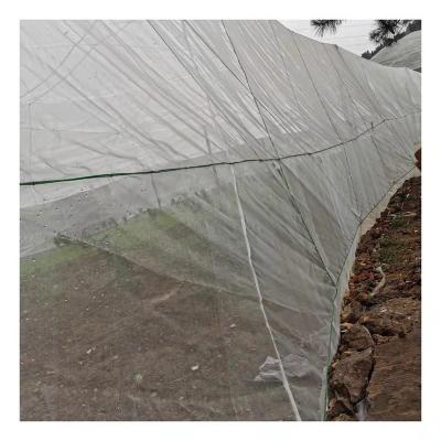 China Anti-Static Factory Sale Agriculture Greenhouse Fruit Trees Protection Aphid Insect Proof Net Mesh for sale