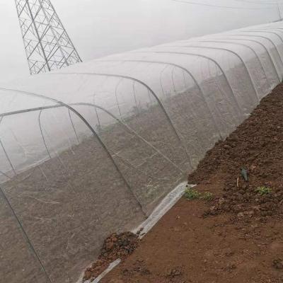 China Garden used/used greenhouse/used farm and other high quality PE plastic white plants anti insect proof netting for apple tarpaulin sale for sale