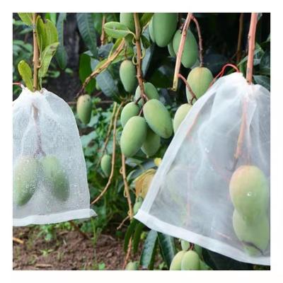 China Canada Best Quality Fruit Anti Insect Aphis/Insect Proof Net Bag Anti Pest Bird/Fruit Growing Mesh Bag Insect Barrier Net White Bags for sale