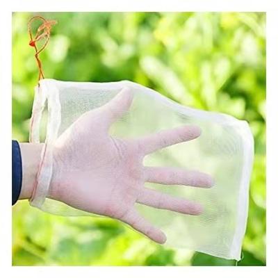 China Anti Insect Plant Insect Proof Net Bag Free Closing Farm Vegetables, Melons, Fruits For Protecting Insect Proof Bag for sale