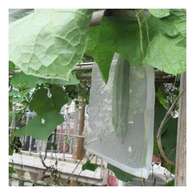 China Anti Insect Agriculture Fruit Net Bag Grape Protection Anti Insect Mesh Netting for sale