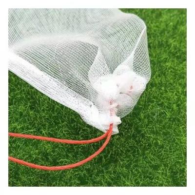 China Anti Insect Garden Plant Nylon Fruit Vegetable Grow 40 Mesh Bags Agriculture Anti Bird Pest Protection Net Bag 25cm*15cm for sale