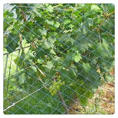 China 100%virgin HDPE+UV as your protection agriculture manufacturing conditions HDPE anti bird anti birds mesh netting invisible green HDPE anti bird netting for sale