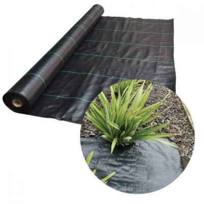 China Agricultural Cultivation Weeds Barrier Fabric Landscape Cloth Excellent Weed Control PP PE Ground Cover for sale