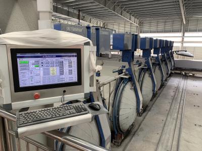 Cina Linea di produzione chimica della pianta/AAC del blocchetto dell'autoclave del vapore di pressione AAC autoclave di 2×31m AAC in vendita