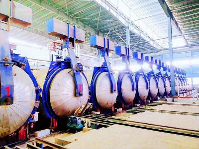 Chine Chaîne de production complètement automatique adaptée aux besoins du client de matériaux de construction d'autoclave de sable pour le bois à vendre