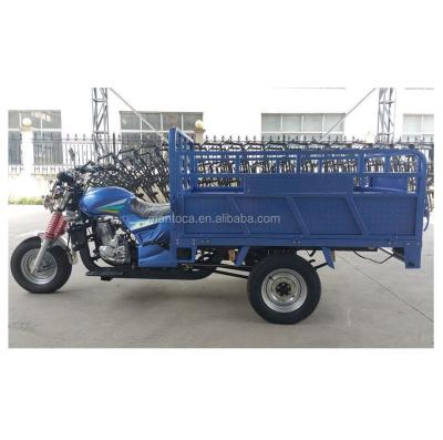 China 200cc Cargo Motorized Tricycle Cargo Bike Three Wheel Truck for sale