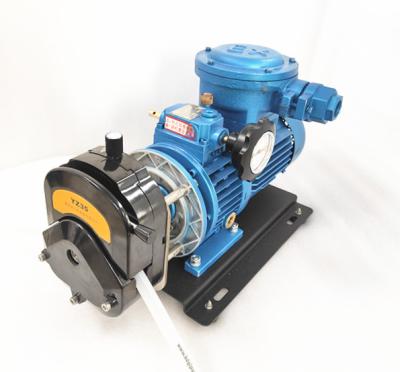 China Peristaltic Pump Developing World Water Solutions Pump Explosion Proof Peristaltic Big Flow for sale