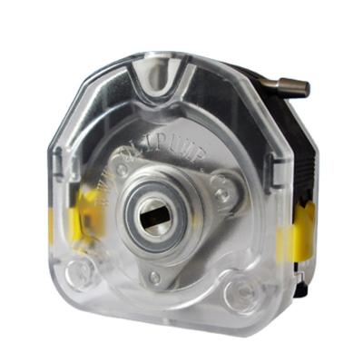 China Developing World Water Solutions Peristaltic Pump Head Peristaltic KZ Dosing Head for sale