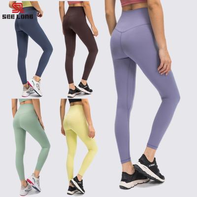 China Breathable hot sexy pakistan yoga pants clothing pants outdoor sports yoga leggings set women plus size fat lady for sale