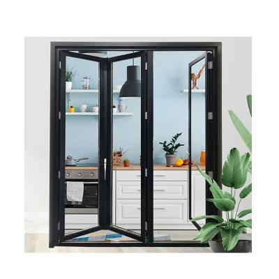 China Sound Insulation Double Mood Wheel Good Prices Glass Clip Top Grooved Front Entrance Sliding Aluminum Roller Lift&Sliding Door for sale