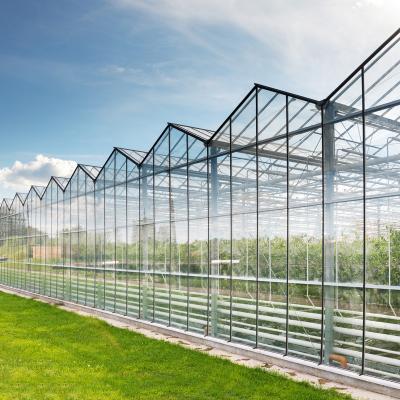 China Commercial Used Victorian Greenhouse Agriculture Greenhouses Frames Farm House Winter Commercial Glass Greenhouse Small Smart Greenhouse for sale