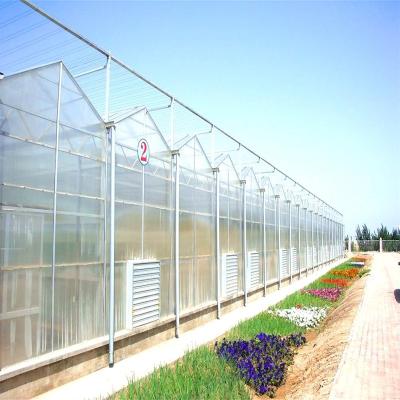 China Greenhouse Commercial Agriculture Victorian Greenhouses Frames Farm House Winter Polycarbonate Commercial Greenhouse for sale