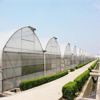 China Commercial Used Victorian Greenhouse Agriculture Greenhouses Frames Farmhouse Commercial Winter Greenhouse Plastic Tunnels for sale