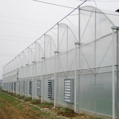 China Agricultural Plastic Sawtooth Film Tomato Greenhouses Tunnel Light Deprivation Sawtooth Greenhouse For Sale for sale