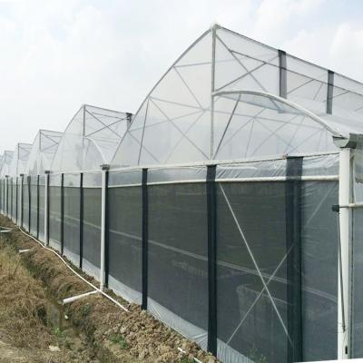 China Agricultural Sawtooth Film Tomato Greenhouses Multi-span Sawtooth Film Tomato Greenhouses With System Vertical Hydroponic Planting Agriculture for sale