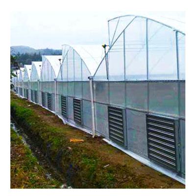 China For Tomato Multi-span Agricultural Sawtooth Plastic Tunnel Film Greenhouse For Tomato for sale