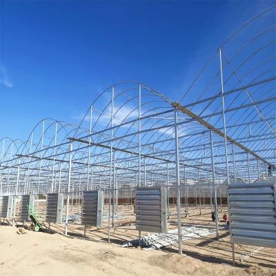 China Commercial Used Mushroom Greenhouse Poly Tunnel Greenhouse Vegetable Greenhouses For Sale for sale