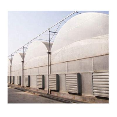 China Hot Dipped Galvanized Poly Agricultural Steel Pipe Tunnel Film Greenhouse for sale