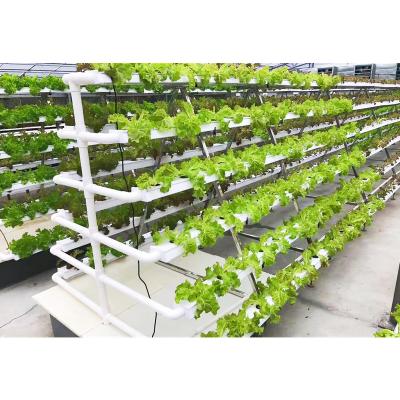 China New Multi-Span High Film Hydroponics System Vertical Rainbow Light Transmission Greenhouse For Sale for sale