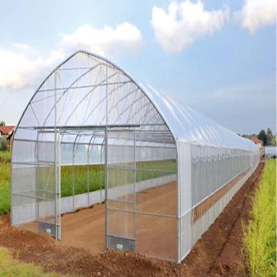 China Cheap Agricultural PE Single-span Film Greenhouse For Strawberry With Hydroponics System for sale