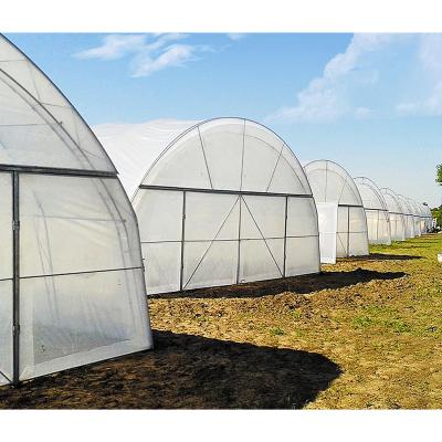 China Stable Structure Easily Assembled Plastic Film Small Vegetable Greenhouse Tunnels Agriculture For Sale for sale