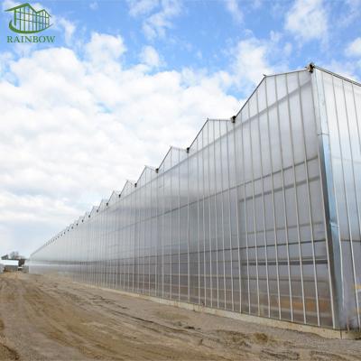 China Stable Structure Easily Assembled Modern Agriculture Multispan Venlo Type Glass Greenhouse for sale