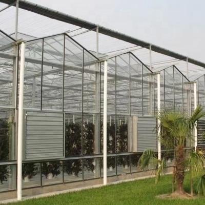 China Stable Type Structure Venlo Agricultural Glass Greenhouse for sale