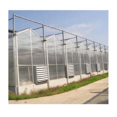 China Hot Dipped Galvanized Steel Pipe Greenhouse Polycarbonate With Hydroponics System Vertical for sale