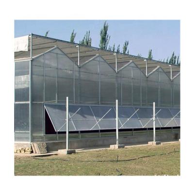 China Hot Dipped Galvanized PC Sheet Steel Pipe Agricultural Multi-span High Quality Greenhouses for sale