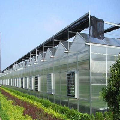 China High Quality PC Sheet Agriculture PC Sheet Greenhouse for sale