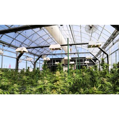 China Special Medical Plants Agriculture Light Deprivation Blackout Blackout Growing Greenhouse for sale