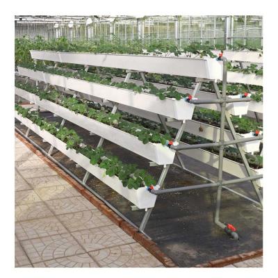 China Leafy Vegetables Planting / Lettuce Hydroponics System Nft For Lettuce Greenhouse for sale