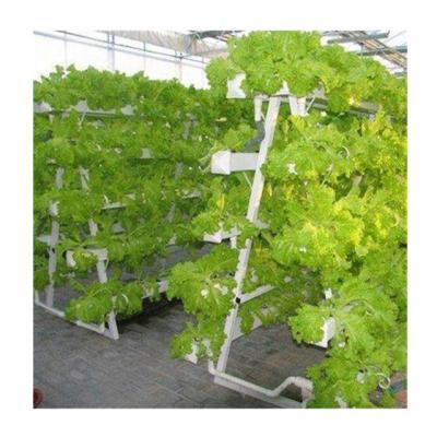 China Leafy Vegetables Planting / Lettuce Agriculture Hydroponics System Nft For Lettuce for sale