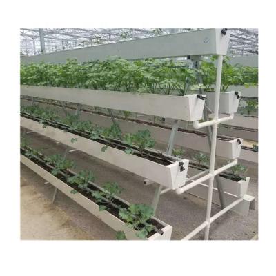 China Leafy Vegetables Planting / Vertical Lettuce Hydroponics System Nft For Lettuce Greenhouse From Greenhouse Supplier for sale