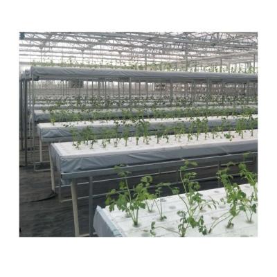 China Good Quality DWC Hydroponics Plastic Floating Growing System For Green Leafy Plants for sale