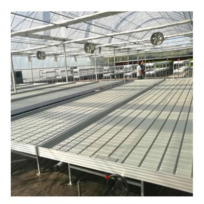 China ABS Tidal Ebb And Flood Seeding Seedling For Greenhouse for sale