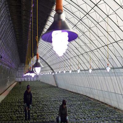 China Waterproof PC Sheet LED Grow Light / Lighting System For Agriculture Greenhouse for sale